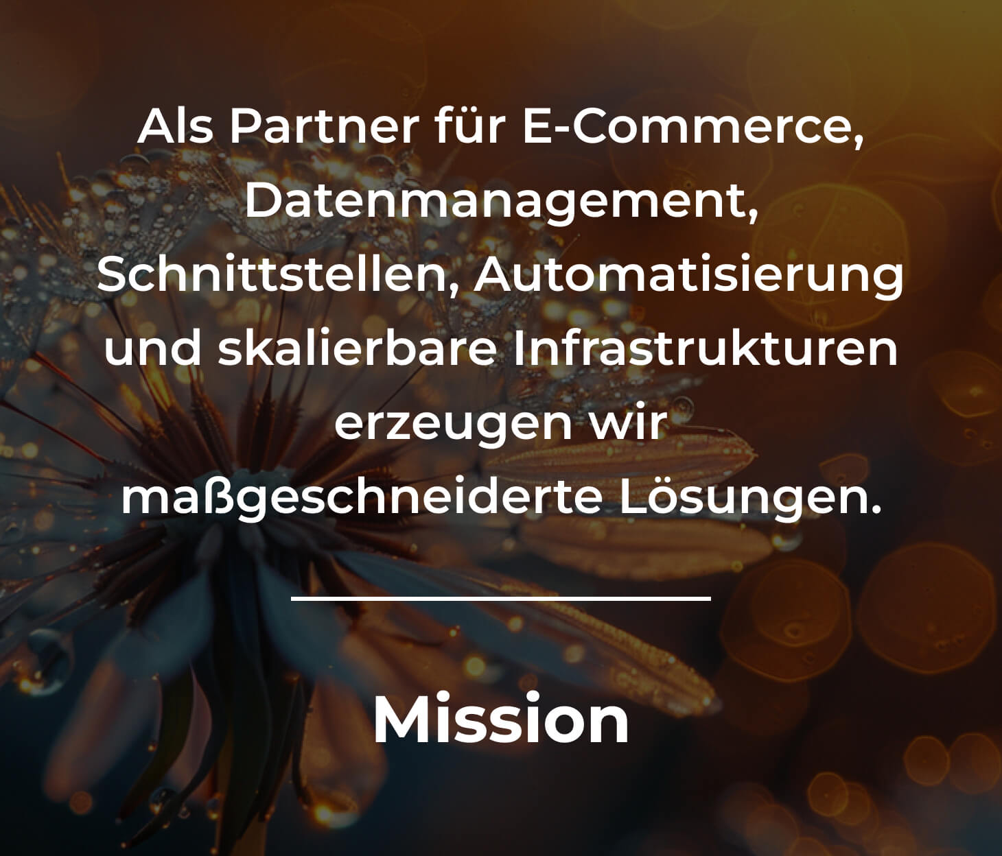 Mission: Als Partner für E-Commerce, Datenmanagement, Schnittstellen, Automatisierung und skalierbare Infrastrukturen erzeugen wir maßgenscheiderte Lösungen.